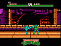 Teenage Mutant Ninja Turtles: Tournament Fighters